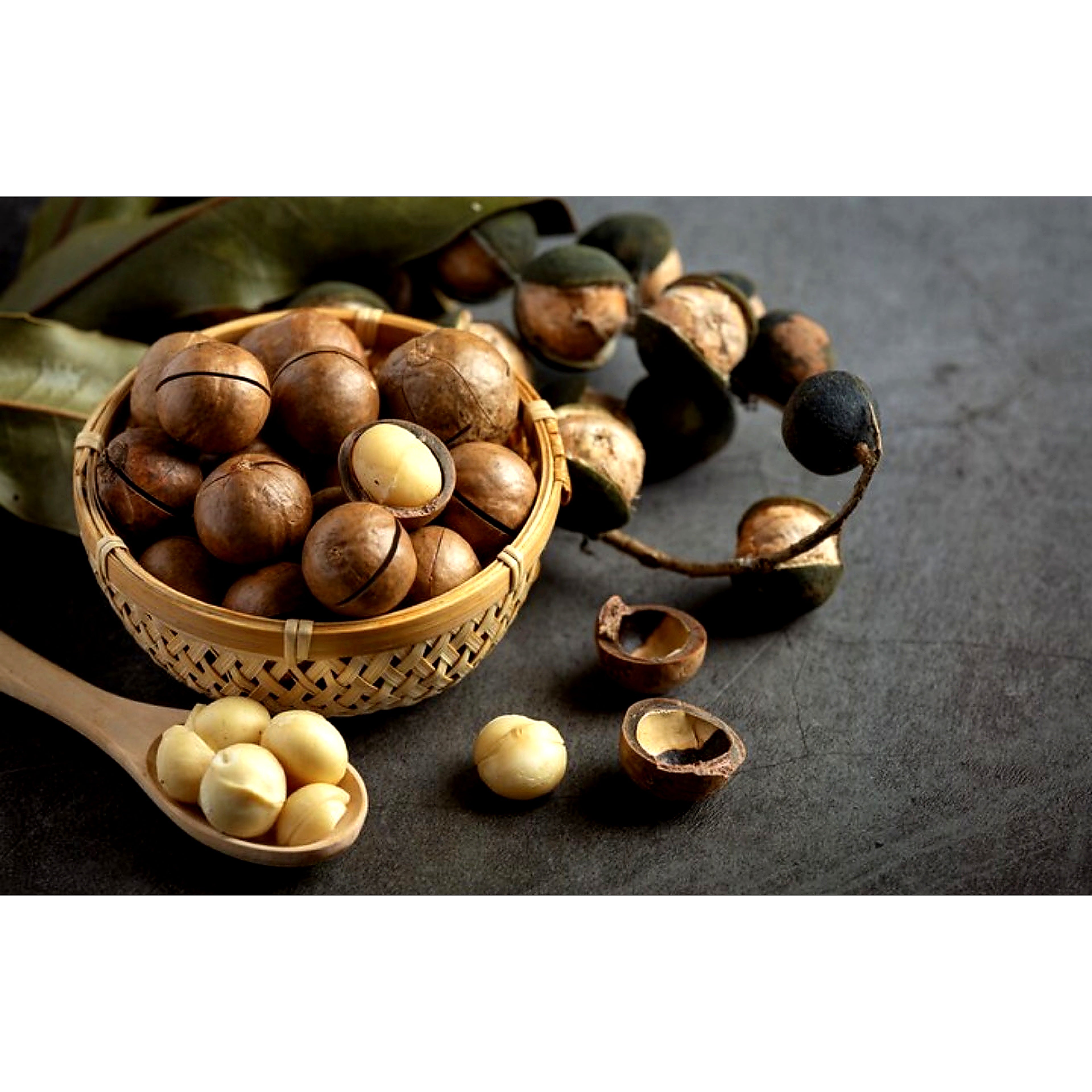 Macadamia Premium Quality